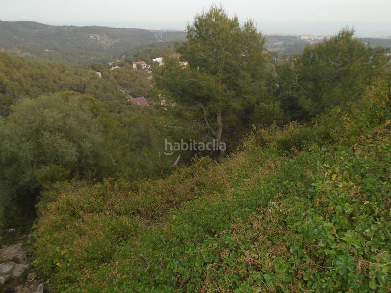 Foto e723ff39-a758-40e8-a08c-e8583d88012a. Finca rústica a costa Cunit - els jardins - els rosers Cunit