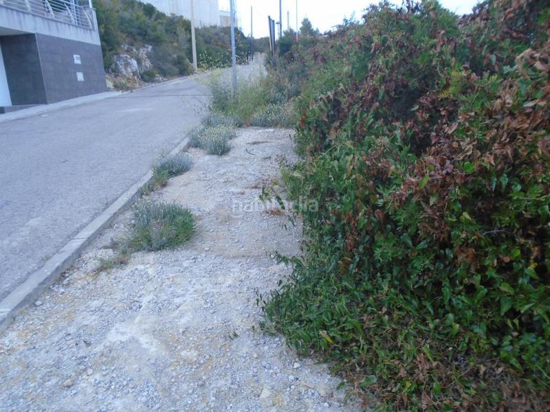 Foto ea1032d9-167f-4869-a12a-a328f3853645. Finca rústica a costa Cunit - els jardins - els rosers Cunit