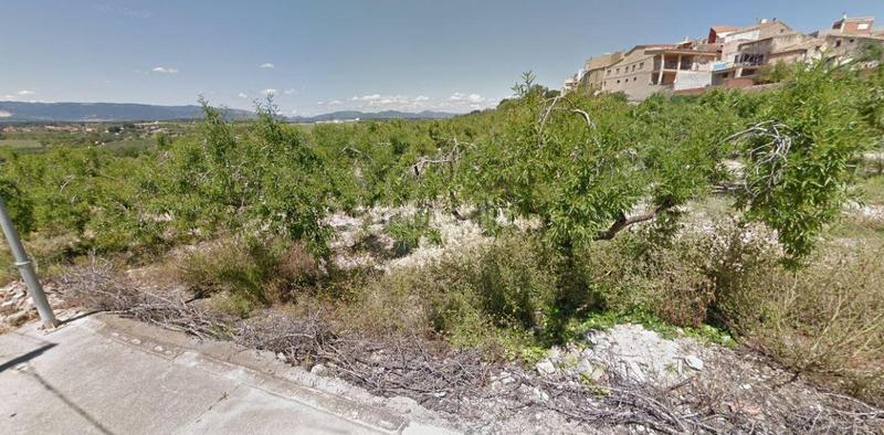 Foto 3fa59c0d-d6fd-4a17-852e-c4b5f6feb288. Finca rústica a Secuita (La)