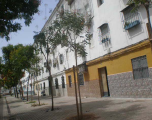 Appartamento  C/ sauce. Solvia inmobiliaria  piso sevilla