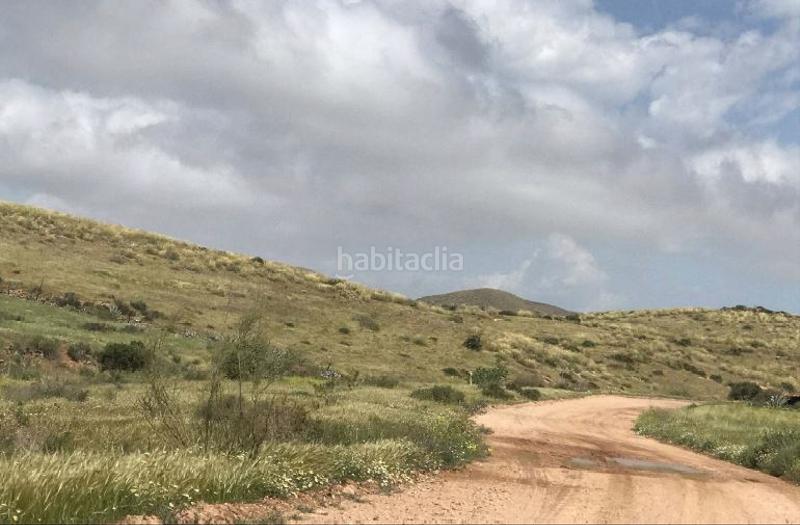 Foto 64fd9a91-3fb4-4530-8c20-e3fee65af11f. Finca rústica a Pozo de los Frailes-Presillas-Albaricoques Níjar