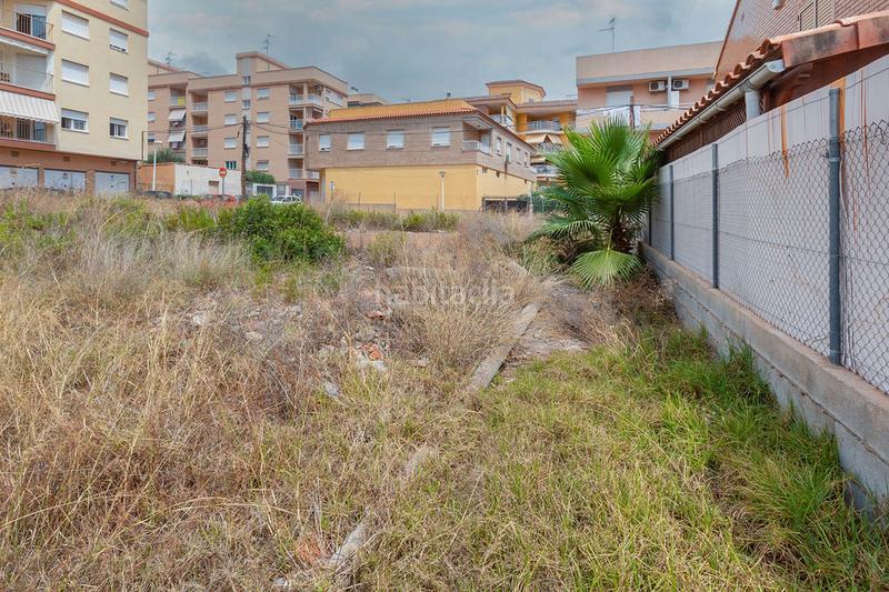 Foto 00496877-f399-456b-b2e4-2b4ac9623e9b. Finca rústica a Centro Oropesa del Mar