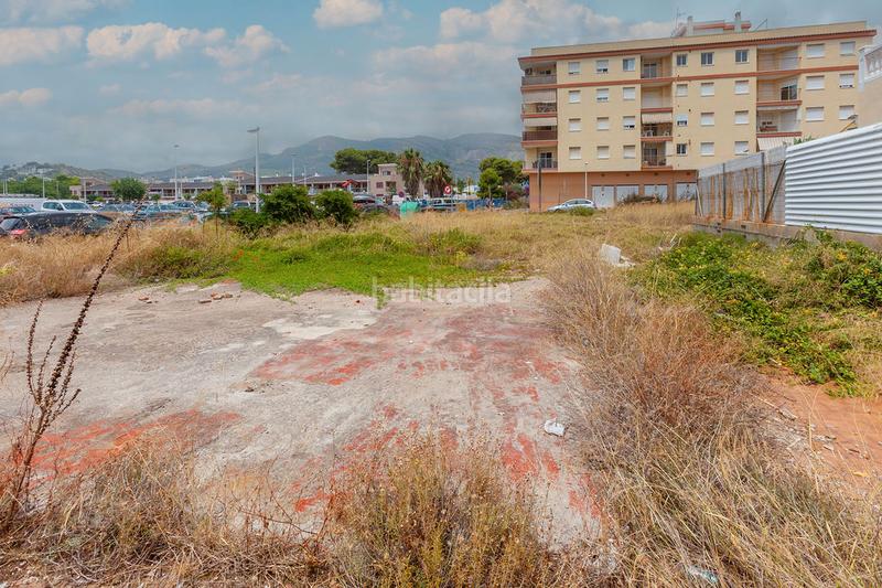 Foto 15ff9273-a03b-4c38-ab77-474744ca6567. Finca rústica a Centro Oropesa del Mar