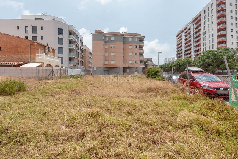 Foto 4b4b6c9b-7443-4b38-bff3-e8f43c03b648. Finca rústica a Centro Oropesa del Mar