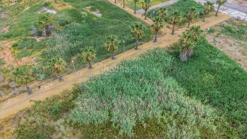 Foto 4d387028-4feb-416a-a2f6-ed714fe99a25. Finca rústica a Moncófar Playa Moncofa