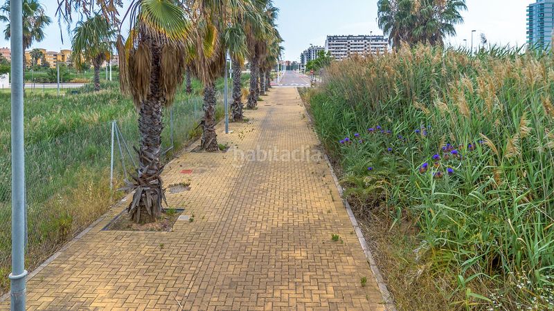 Foto 62876a09-1c35-4e7e-8581-01336842b2e1. Finca rústica a Moncófar Playa Moncofa