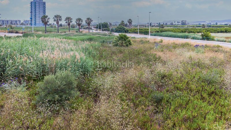 Foto 989ade18-a38b-4cb8-b0d0-bd7d6740778a. Finca rústica a Moncófar Playa Moncofa