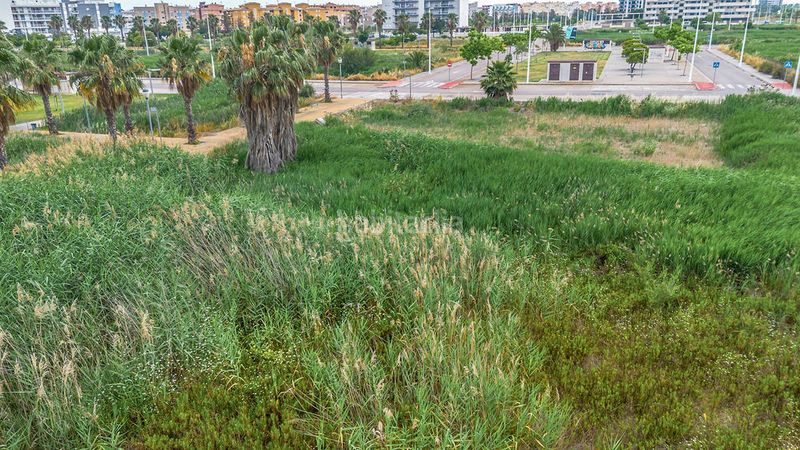 Foto b1bd1a92-45f1-4a06-a25a-719a245210f6. Finca rústica a Moncófar Playa Moncofa