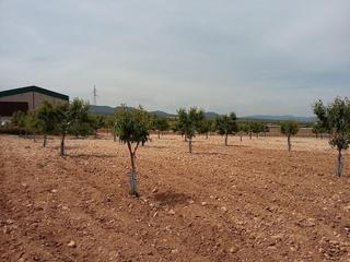 Finca rústica  Cerca (la). Solvia inmobiliaria  suelo urbanizable caudete de las fuentes