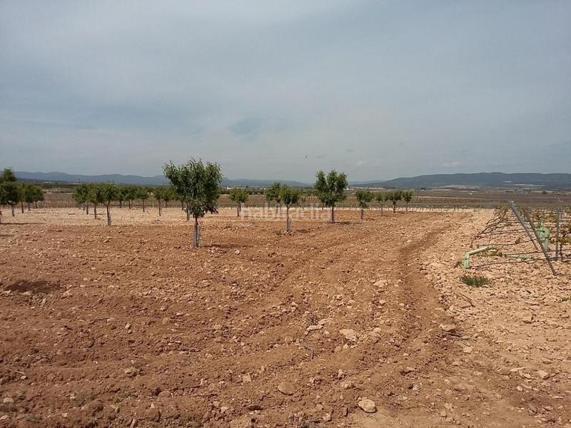 Foto bfd7867d-af43-4d76-aa97-bc046bd71b1b. Finca rústica solvia inmobiliaria suelo urbanizable en Caudete de las Fuentes
