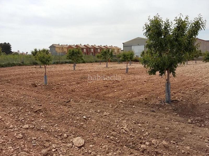 Foto fd072894-cfc4-48e0-bcaf-708df5d82edc. Finca rústica solvia inmobiliaria suelo urbanizable en Caudete de las Fuentes