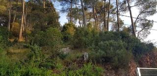 Propriété  Bullidors. Solvia inmobiliaria  suelo urbano castellar del vallès