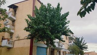 Pis  Pinos. Solvia inmobiliaria  piso murcia