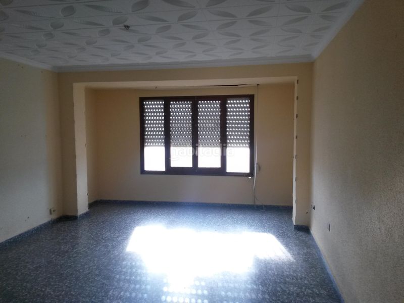 Foto fc1b945b-eda2-4e72-9d21-0cafcb0c7a35. Pis a Onil