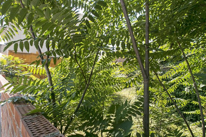Foto 516e9a9a-6bca-4524-89b8-e652eab6470a. Finca rústica solvia inmobiliaria suelo urbano en Sant Pere de Ribes