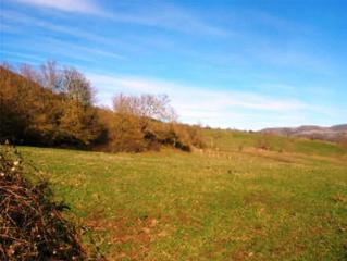 Finca rústica  C/ valerio. Solvia inmobiliaria  suelo rústico suano