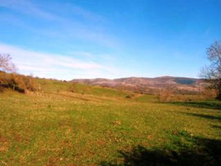 Finca rústica  C/ valerio. Solvia inmobiliaria  suelo rústico suano