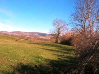 Rural plot  C/ valerio. Solvia inmobiliaria  suelo rústico suano