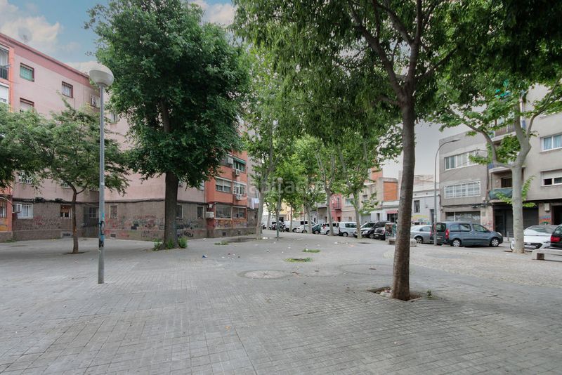 Foto 31989045-fd84-4c7a-ba11-7f835991afaa. Pis a Sant Roc Badalona