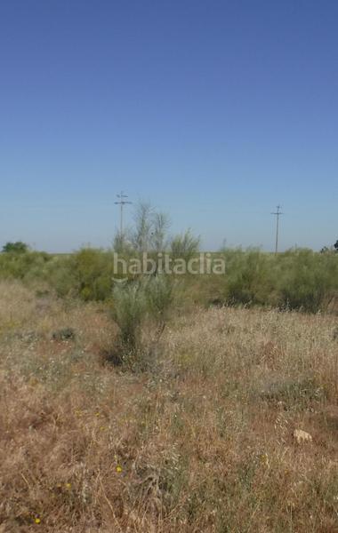 Foto 367c1d3b-e574-4c59-a810-c17686025247. Propriété dans La Cerdera Lleida