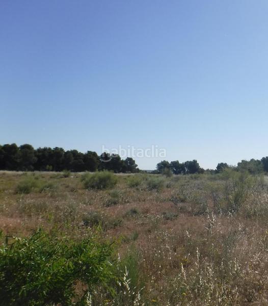 Foto b25044d4-2865-4e35-b1ec-ca6e0e9ee0ca. Propriété dans La Cerdera Lleida