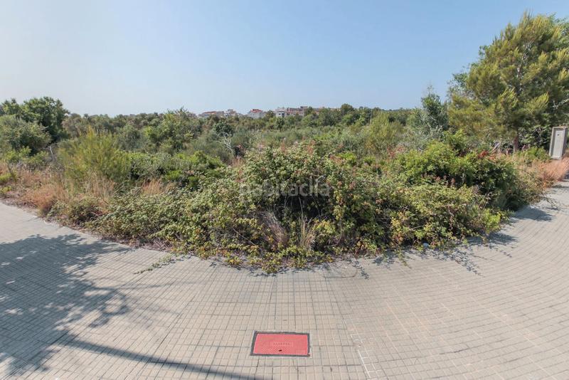 Foto 2f3bff2c-9da2-498c-8e30-3dcf815737e4. Propriété dans El Tancat-Mas d´en Gual Vendrell (El)