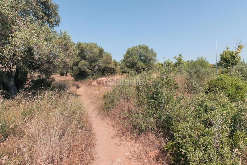 Foto 88f36cac-f10f-4d6a-aa34-da245759cbf9. Propriété dans El Tancat-Mas d´en Gual Vendrell (El)