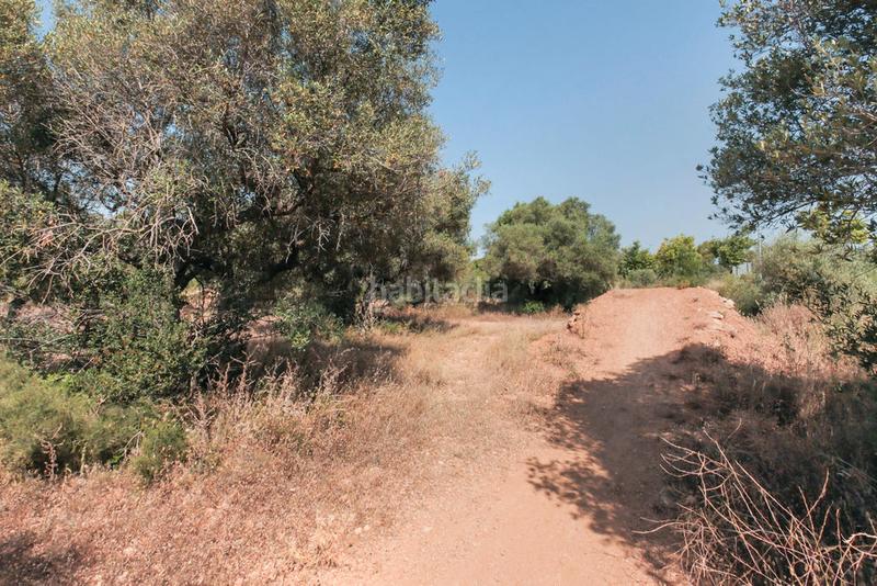 Foto e224b166-e2d5-4efb-8be3-647f4c7d5b9a. Propriété dans El Tancat-Mas d´en Gual Vendrell (El)