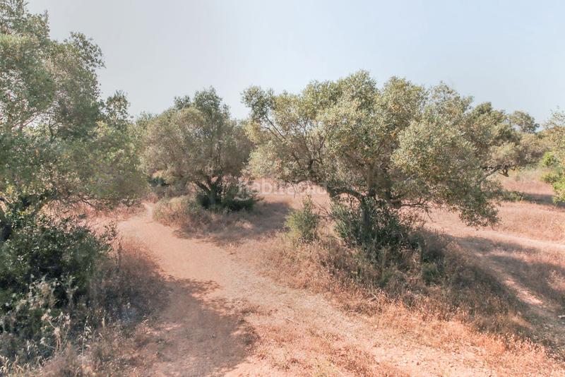 Foto fb0f8279-3479-45f4-a500-293d218bceba. Propriété dans El Tancat-Mas d´en Gual Vendrell (El)