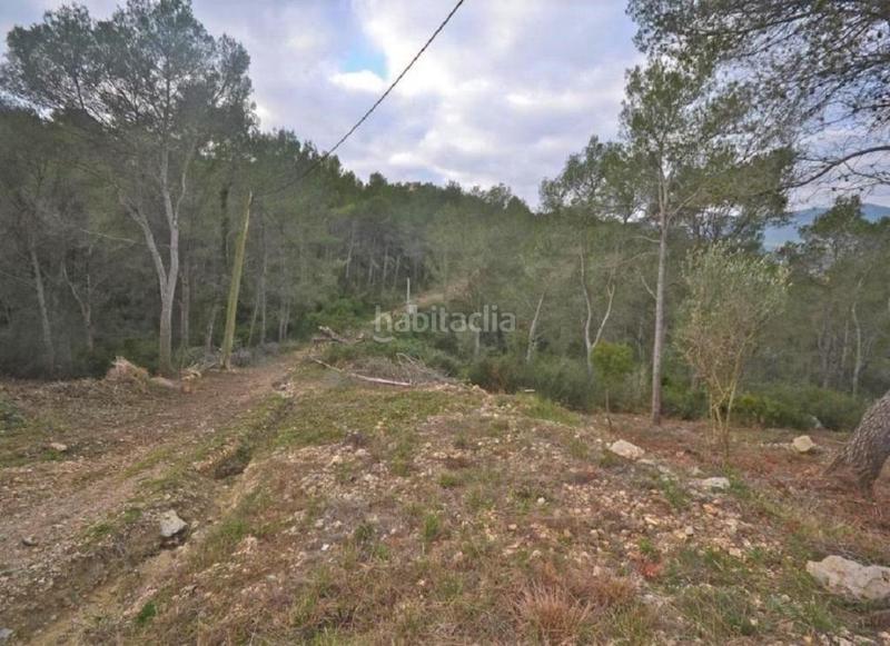 Foto 30ac98d3-a07f-4b60-9cf9-31a9ebd3477c. Finca rústica solvia inmobiliaria suelo rústico en Canyelles