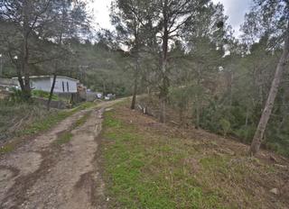 Finca rústica  Montgros. Solvia inmobiliaria  suelo rústico canyelles