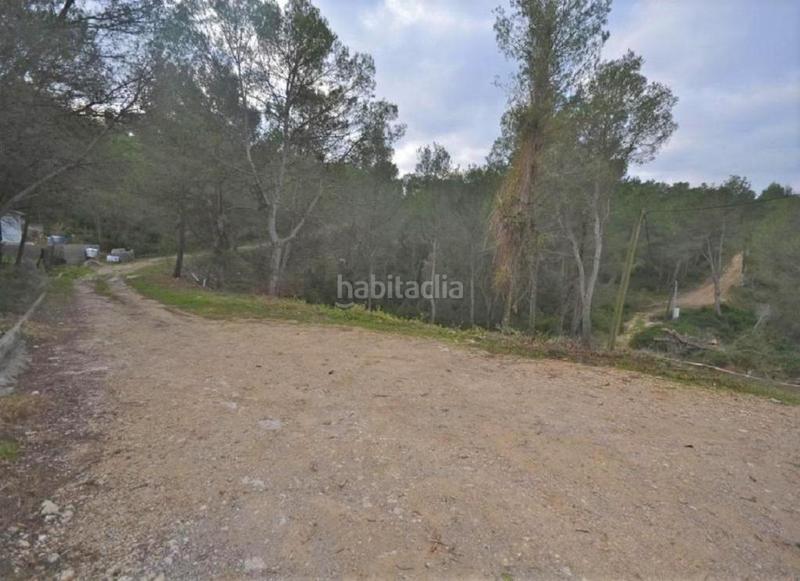 Foto 74a487c8-04c3-489d-ac8a-f31106a1cd99. Finca rústica solvia inmobiliaria suelo rústico en Canyelles