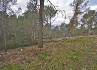 Landgut  Montgros. Solvia inmobiliaria  suelo rústico canyelles