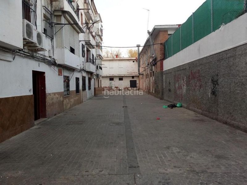 Foto b0d87716-ed90-4c4c-9368-27f78c6e057d. Pis a Torreblanca Sevilla