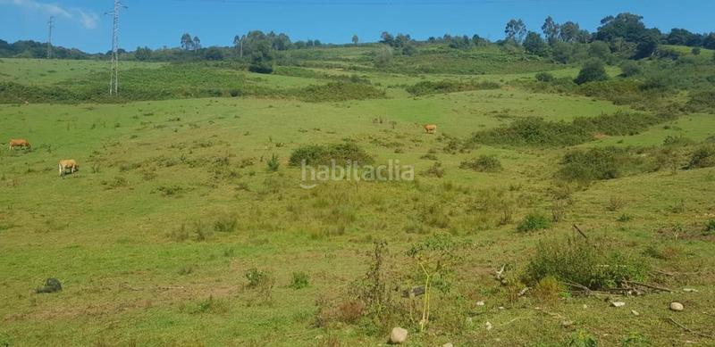 Foto 2c3036bc-d972-41a4-a8d4-53e2ee9c944a. Finca rústica solvia inmobiliaria suelo rústico en Siero