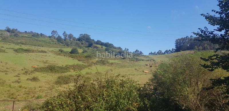 Foto 9d3b7d85-ae3b-4e62-b5da-c330298e507e. Finca rústica solvia inmobiliaria suelo rústico en Siero