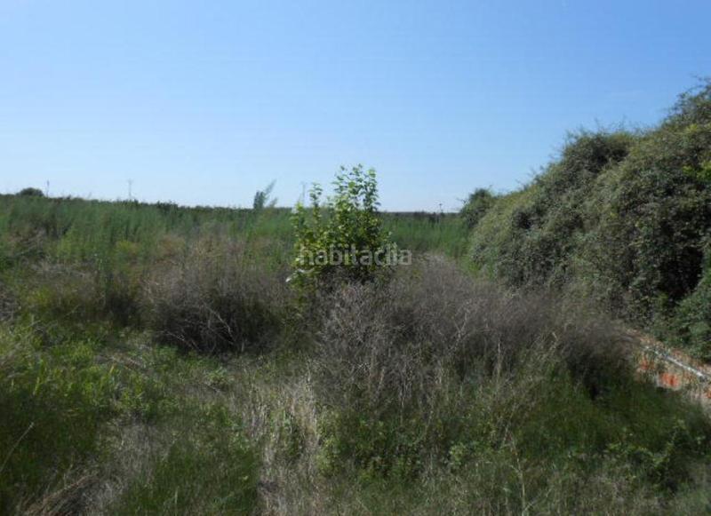 Foto ab11376f-f8cb-428b-9d88-8168064ddfc1. Finca rústica solvia inmobiliaria suelo rústico o en Sagunt