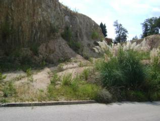 Finca rústica  C/ avellaner. Solvia inmobiliaria  suelo urbano vidreres