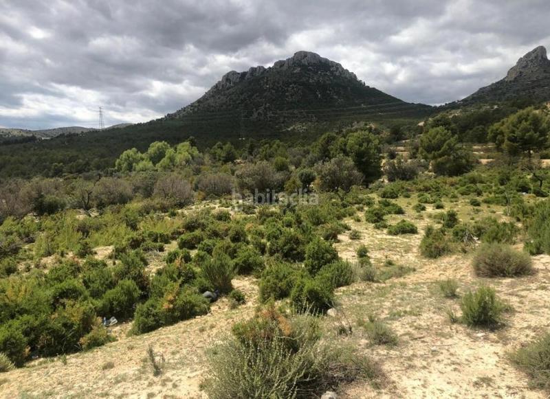 Foto 33d6b366-7347-45d0-9f15-f0a098044183. Finca rústica a Urbanizaciones Benidorm