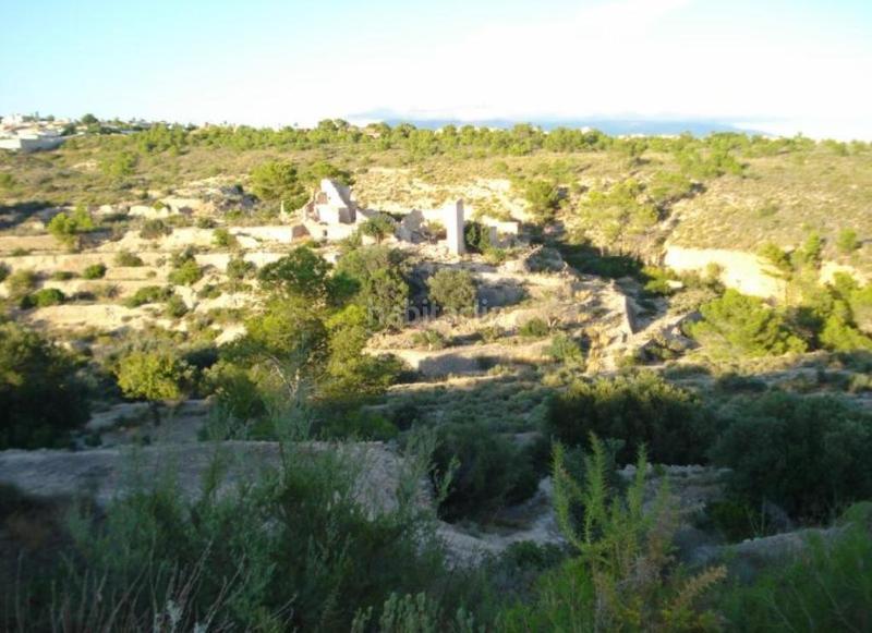 Foto 4f1c5ad0-7aec-4a8a-9b30-5342f0108082. Finca rústica a Urbanizaciones Benidorm