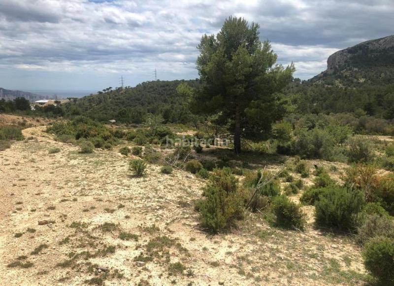 Foto 92479778-7ab6-4808-a853-a02920815a35. Finca rústica a Urbanizaciones Benidorm