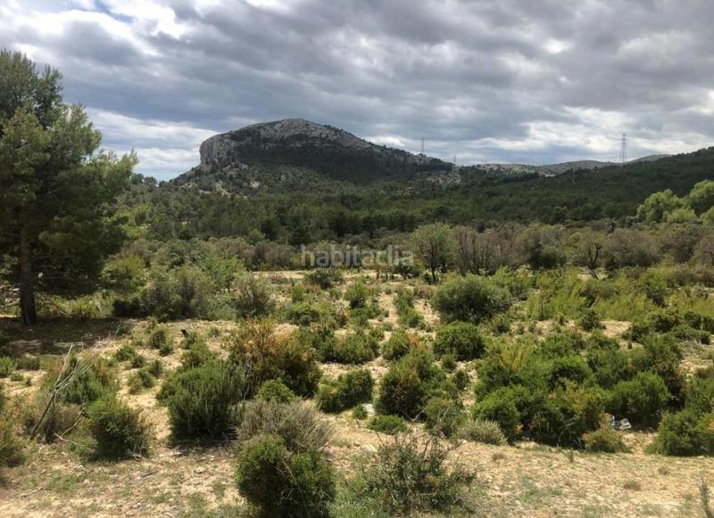 Foto d794f715-7889-465a-99ad-a005bfa7cc6c. Finca rústica a Urbanizaciones Benidorm