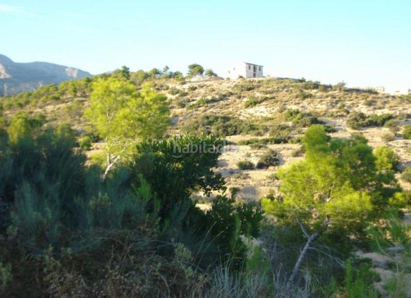 Foto e6111c2b-052a-4c2e-8c97-35573f3929fc. Finca rústica a Urbanizaciones Benidorm