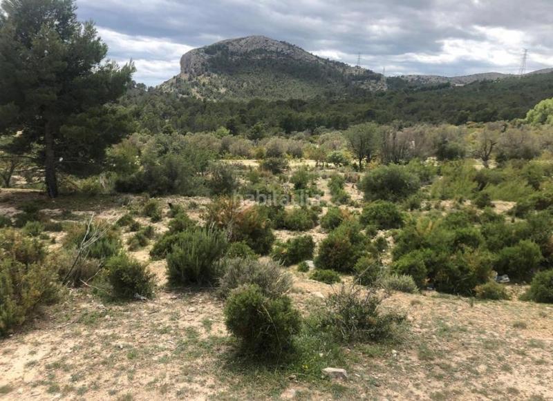 Foto eebc12b6-5385-4ef0-bc7e-070c886c63be. Finca rústica a Urbanizaciones Benidorm