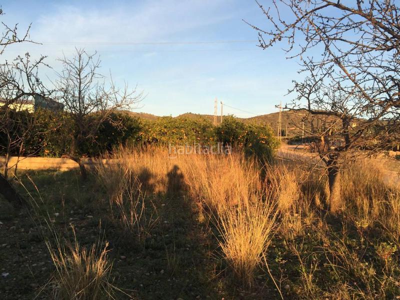 Foto 9f62a2fb-0dd6-46f5-b12e-d40e8f9de9c7. Finca rústica solvia inmobiliaria suelo urbanizable en Torreblanca