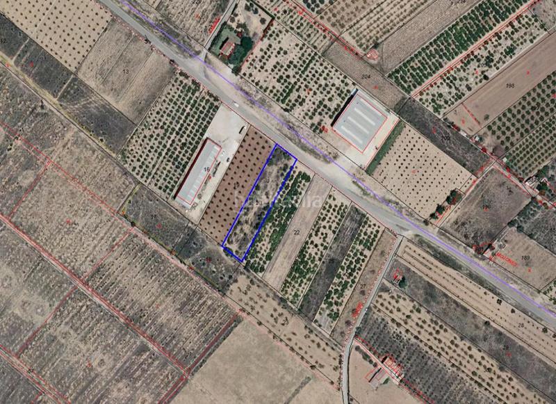 Foto cbf87597-182e-4750-81ea-f18801f9b6e5. Finca rústica solvia inmobiliaria suelo urbanizable en Torreblanca