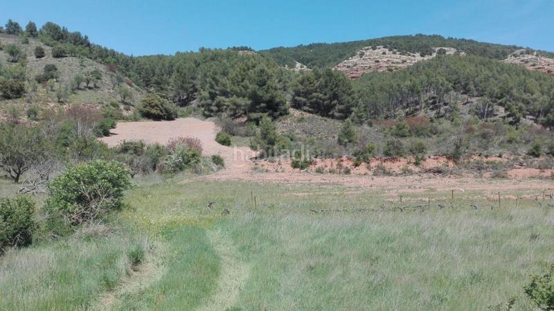 Foto b2f452a0-b22a-4c57-90d4-0135b2256fdb. Finca rústica solvia inmobiliaria suelo rústico en Báguena