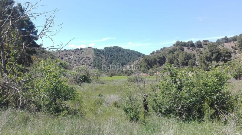 Foto f8918071-52e3-4a5b-828b-e41d63581197. Finca rústica solvia inmobiliaria suelo rústico en Báguena