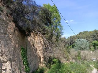 Finca rústica  Pineda. Solvia inmobiliaria  suelo urbanizable masquefa