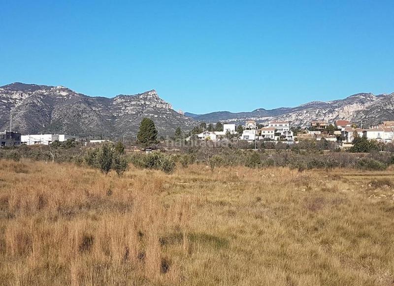 Foto 5afd6445-eac1-49af-9059-8959448dc722. Fondo rustico in Sénia (La)